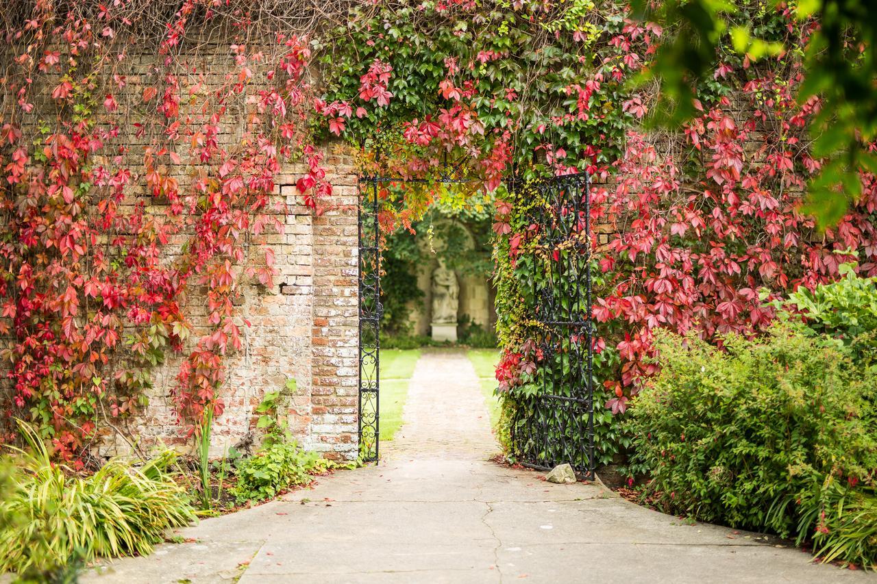 Eastwell Manor, Champneys Hotel & Spa Ashford  Esterno foto